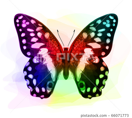 Butterfly. Iridescen colours. 66071773