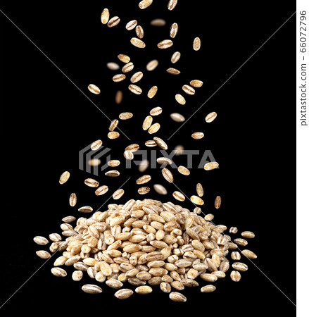 Heap of pearl barley grains on black background 66072796