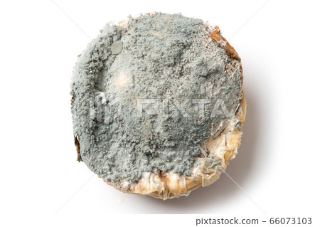 Moldy organic food on white. Improper storage Moldy organic food on white. Improper storage 66073103