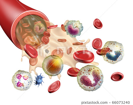 Blood constituents Blood constituents 66073240