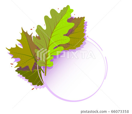 Modern spring foliage template banner. Cartoon web frame discount with copy space for text. Summer sale promotion element. Vector leaves Creative illustration. Flat advertising label, white backdrop 66073358