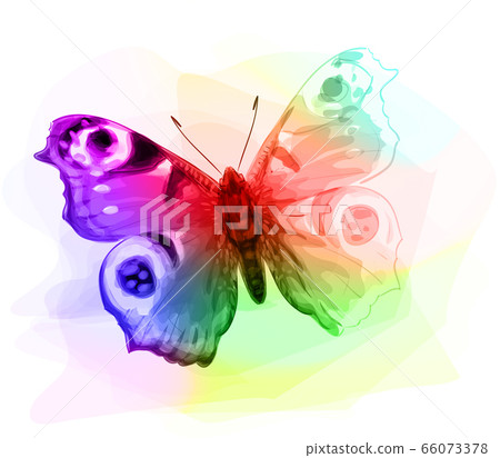 Butterfly. Iridescen colours. 66073378