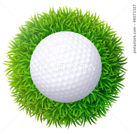 Ball for golf on green grass. Isolated on white Ball for golf on green grass. Isolated on white 66073387
