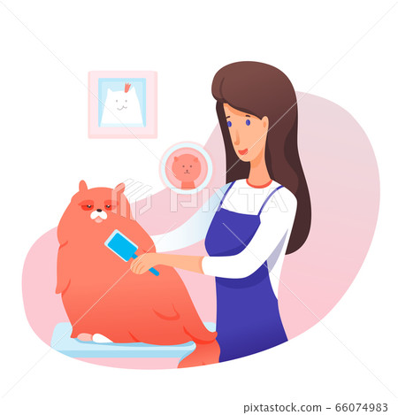 Female groomer comb out big fluffy cat cartoon 66074983