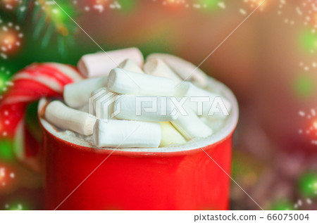 Hot cocoa with marshmallows on wooden background 66075004