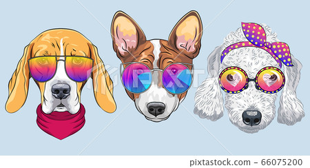 vector Set 6 of cartoon dogs vector Set 6 of cartoon dogs 66075200