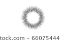 Sea urchin flash. Fine radius, distribution method, etc. can be customized 66075444