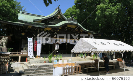 大宮八幡宮 66076193