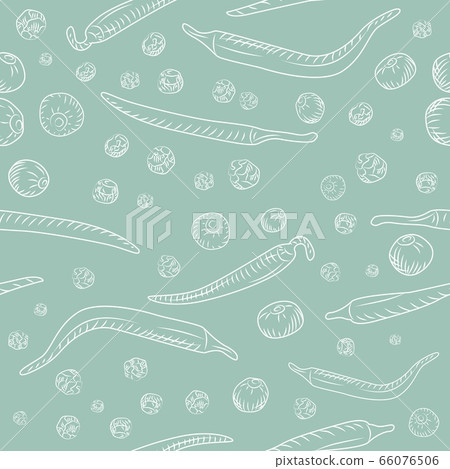 Chilli pepper and black pepper seamless pattern. Engraving vintage style. Chilli pepper and black pepper seamless pattern. Engraving vintage style. 66076506