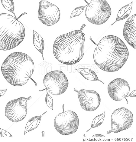 Apple and pear seamless pattern on white background. Apple and pear seamless pattern on white background. 66076507