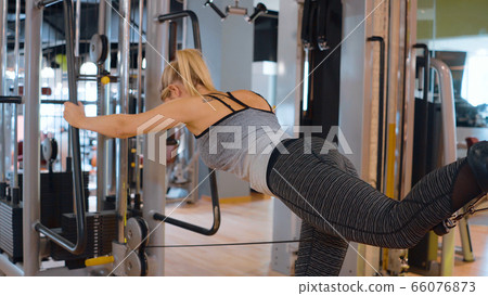 Body forming - daily workout at a gym Body forming - daily workout at a gym 66076873