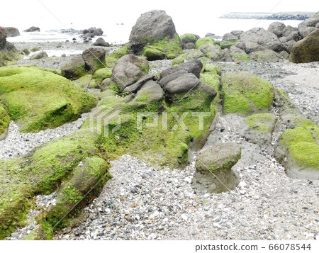 Rock in front of "Kuguri Rock" that appeared at low tide Rock in front of "Kuguri Rock" that appeared at low tide 66078544