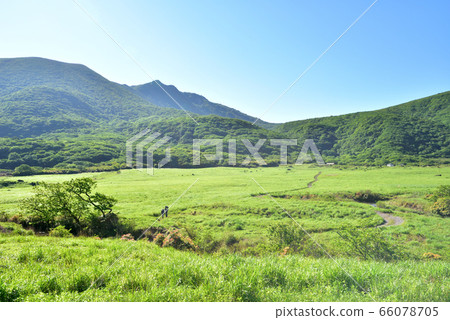 大船山保久保久久保勝沼濕地1786m阿蘇九州國立法京溫泉 大船山保久保久久保勝沼濕地1786m阿蘇九州國立法京溫泉 66078705