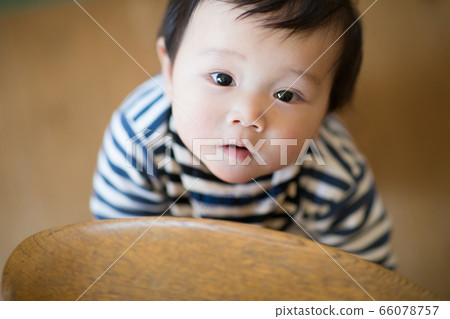 嬰兒和房間 66078757