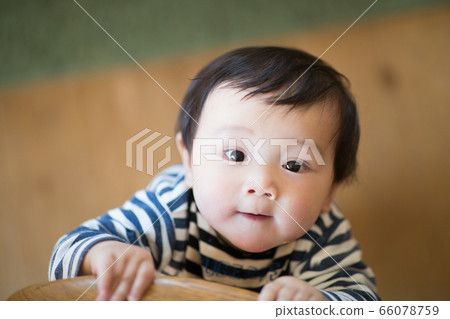 嬰兒和房間 66078759