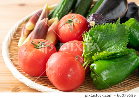 Summer vegetable platter Summer vegetable platter 66079589