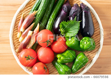 Summer vegetable platter 66079598