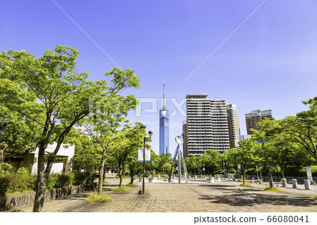 從Sazae街看到的美麗的福岡塔 66080041