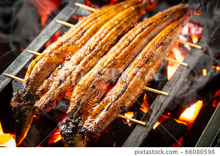 烤鰻魚 66080598