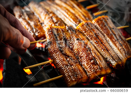 Bake the eel 66080659