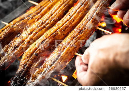 烤鰻魚 烤鰻魚 66080667
