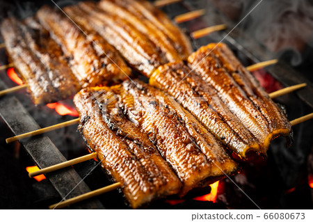 Bake the eel Bake the eel 66080673