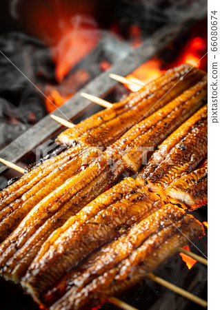 Bake the eel Bake the eel 66080674