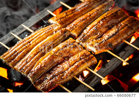 Bake the eel 66080677