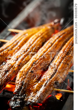 Bake the eel 66080679