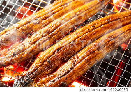 Bake the eel Bake the eel 66080685