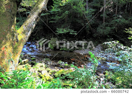 Underground water of Enbara-15 (Enbara district, Yamagata City, Gifu Prefecture) Underground water of Enbara-15 (Enbara district, Yamagata City, Gifu Prefecture) 66080742