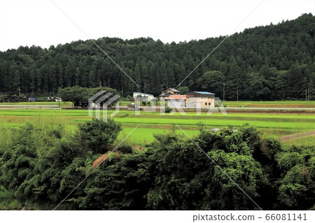 Neo Road 6（岐阜縣本棲市撒哈拉） 66081141