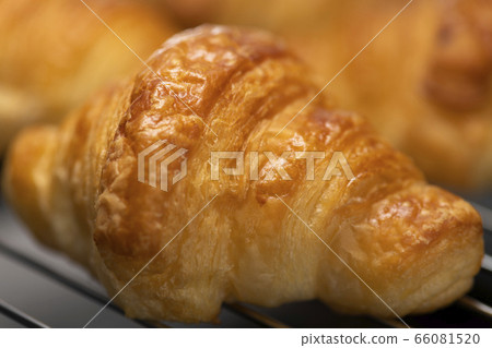 新鮮製作的迷你牛角包 66081520