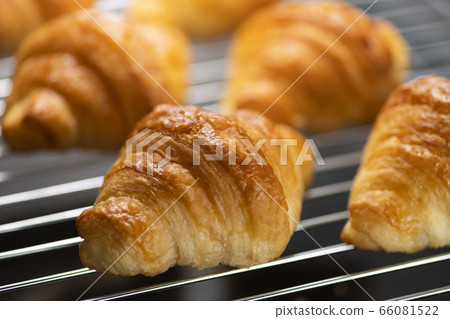 Freshly made mini croissant 66081522