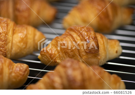 Freshly made mini croissant 66081526