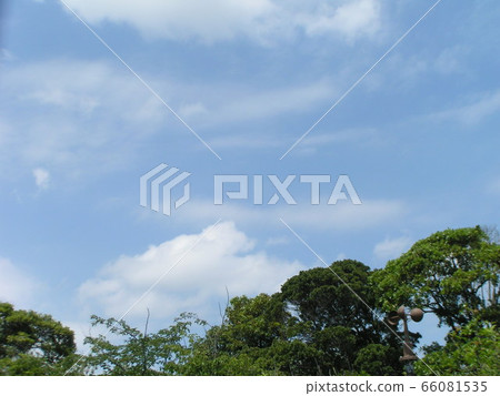 藍天和白色雲彩在初夏 66081535