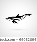 dolphin strip logo sign vector illustration 66082894