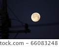 月亮和電源桿 月亮和電源桿 66083248