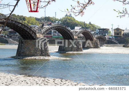 A view of the Kintai Bridge, where cherry blossoms bloom A view of the Kintai Bridge, where cherry blossoms bloom 66083371