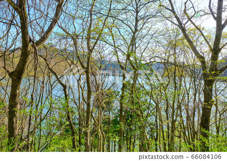 May Kinjo Lake, Kitakami City, Iwate Prefecture 66084106