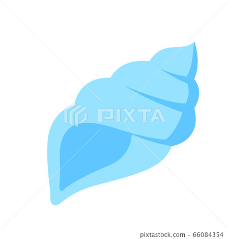 Illustration of conch Illustration of conch 66084354