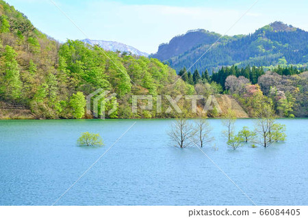 岩手縣北上市市五月金城湖 岩手縣北上市市五月金城湖 66084405