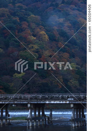 Arashiyama秋葉 66084406