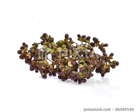 Fresh Zanthoxylum limonella Alston isolated on white background. 66084540