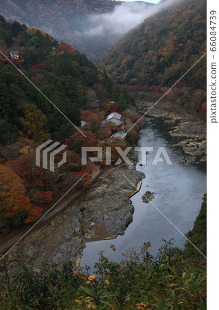 Autumn leaves of Arashiyama Autumn leaves of Arashiyama 66084739