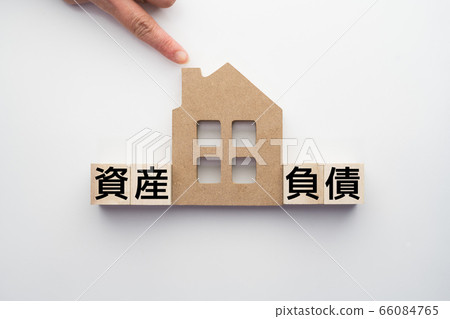 Image housing 66084765