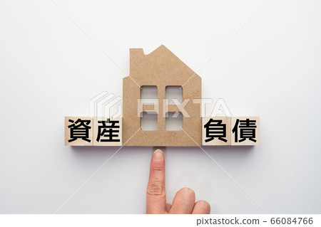 Image housing 66084766