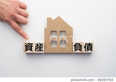 Image housing 66084768