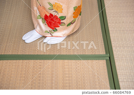 A woman in a kimono walking on a tatami floor 66084769