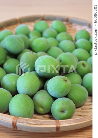 Ome (unripe plums) Plums for making plum wine and plum syrup 66086503